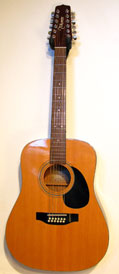 Takamine G-335